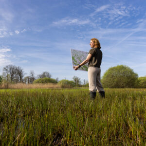 Adviesbureau Natuur en landschap