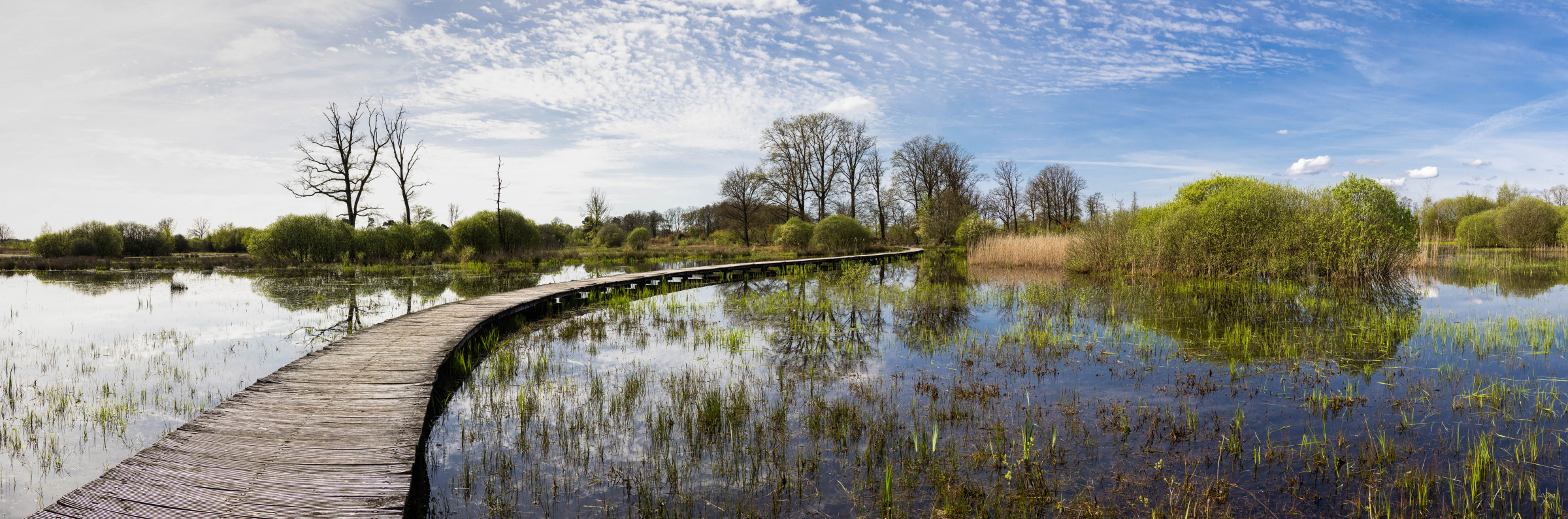 Adviesbureau Synergie - landelijk gebied, natuur en landschap